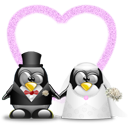 Penguin pingouin pinguino 285